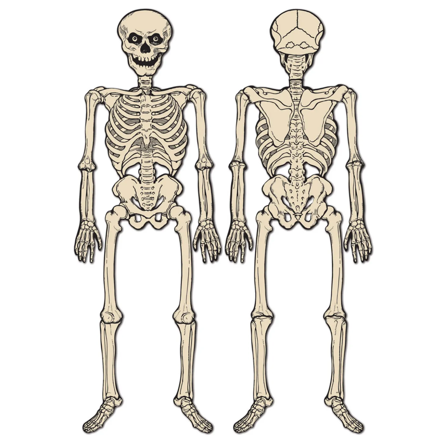 Beistle Vintage 4' 3" Halloween Jointed Skeleton Decoration 01178