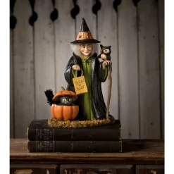Bethany Lowe 9.25" Trick Or Treat Callie Witch Halloween Figure TD3151