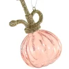 Cody Foster 4.25" Plant Mister Glass Christmas Ornament GO-8694