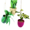 Cody Foster 4.5" Pothos, Snakeplant, Or Fern Christmas Ornament PO-2079