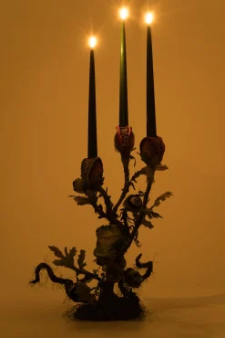 Katherine's Collection 18" Enchanted Plant Candelabra Halloween Decoration 28-428177
