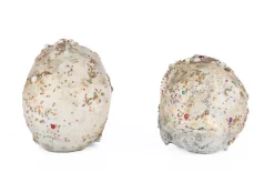 Katherine's Collection 8.5" Tabletop Jewel Encrusted Skull Figures Set Of 2 Halloween Decoration 28-428214