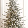 Raz 7.5', 9', Or 12' O Tannenbaum Snowy Rocky Mountain Spruce Christmas Tree With LED Lights