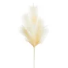 Raz 28" Artificial Pampas Spray Realistic Look F4302398