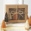 Raz 4.25" Box Of Halloween Bottle Brush Trees 4220041