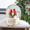 Raz 6.5" Cardinal Musical Christmas Snow Globe 3940512