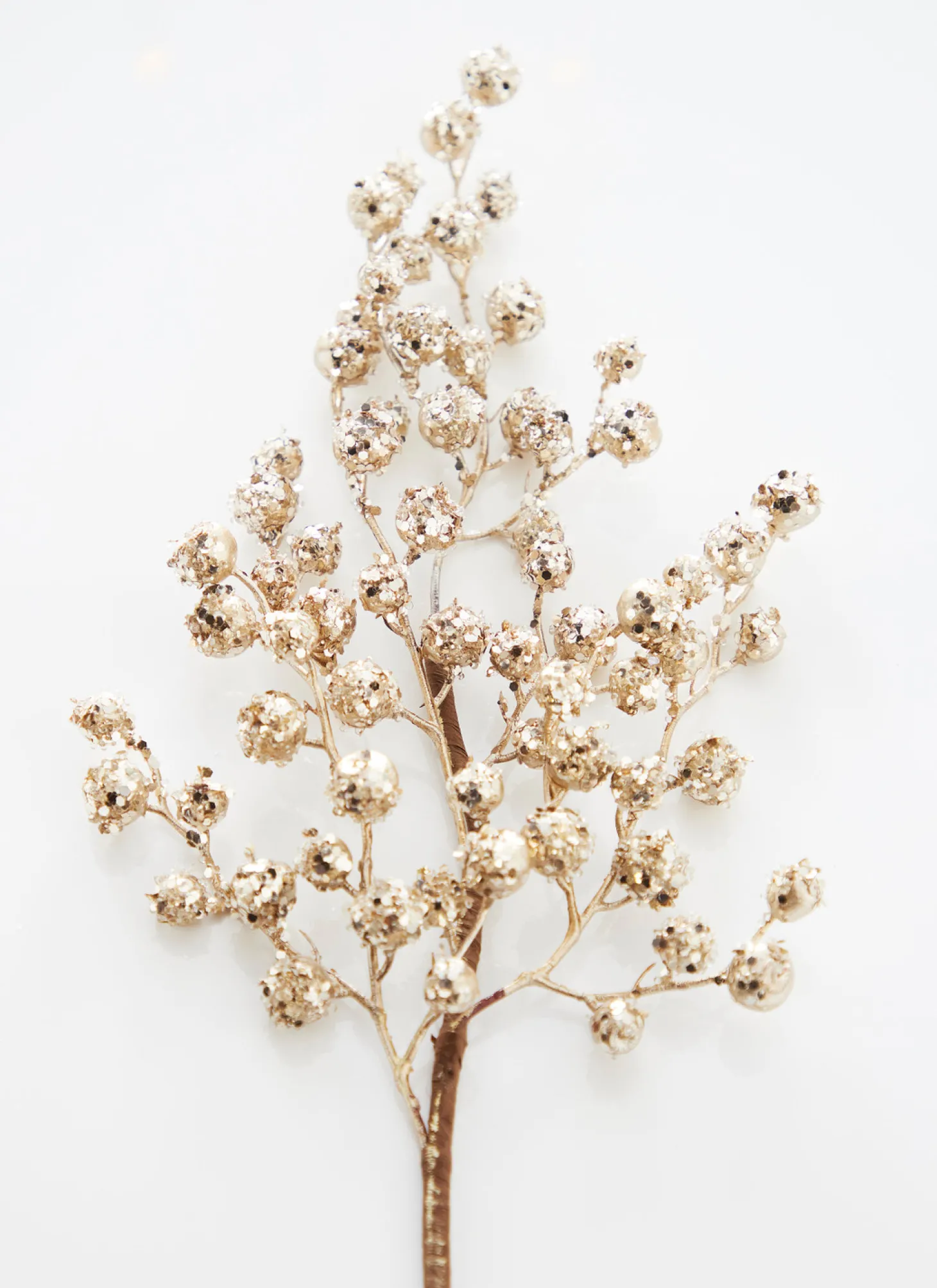 Raz 28" Champagne Iced Berry Christmas Tree Spray F4306738
