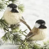 Raz 3.5" Clip On Bird Christmas Ornament 4153305