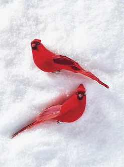 Raz 7" Clip On Cardinal Christmas Ornament 4053314