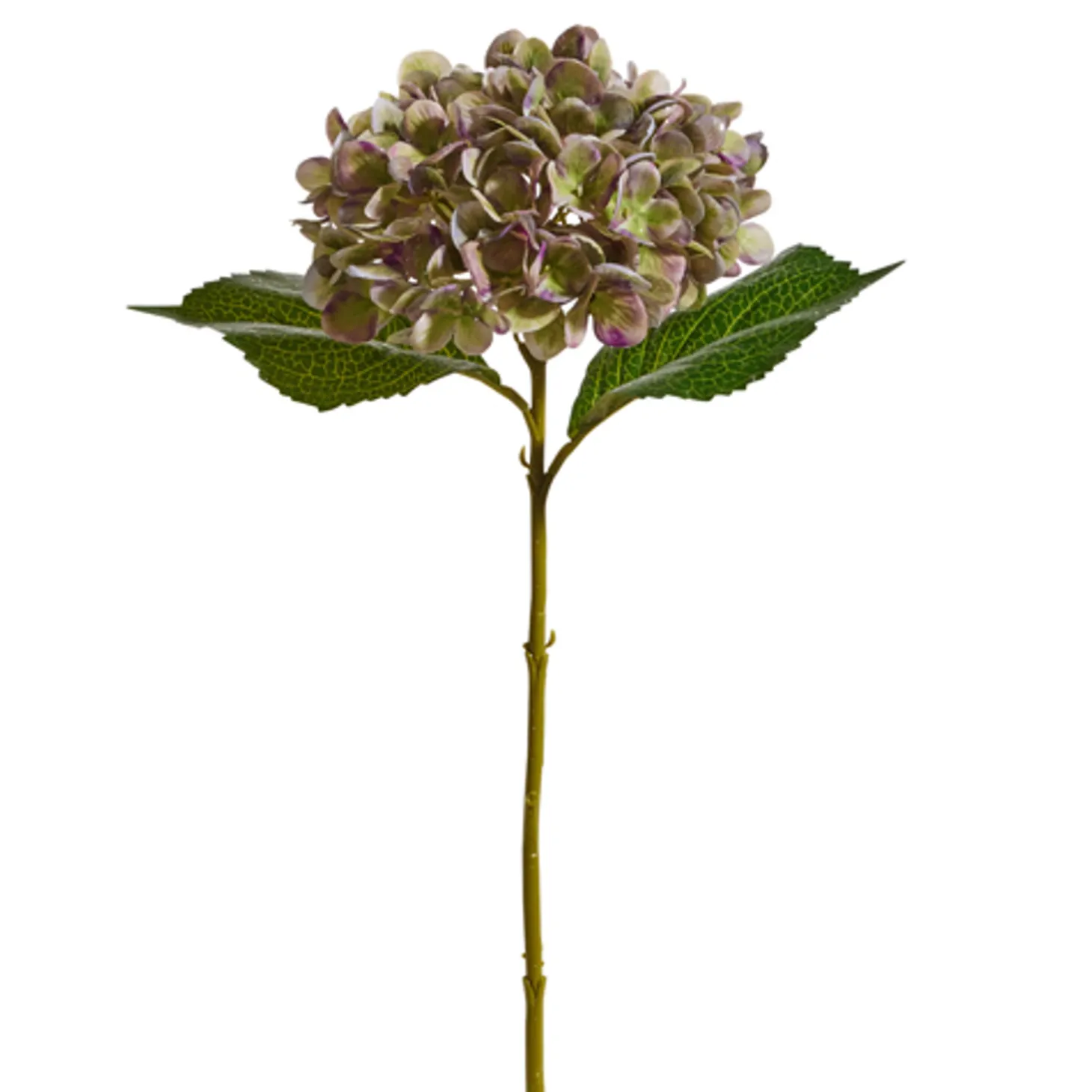 Raz 18" Green And Purple Hydrangea Stem Christmas Tree Accessories F4422761