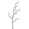 Raz 39" Iced Branch Christmas Tree Pick F4217561
