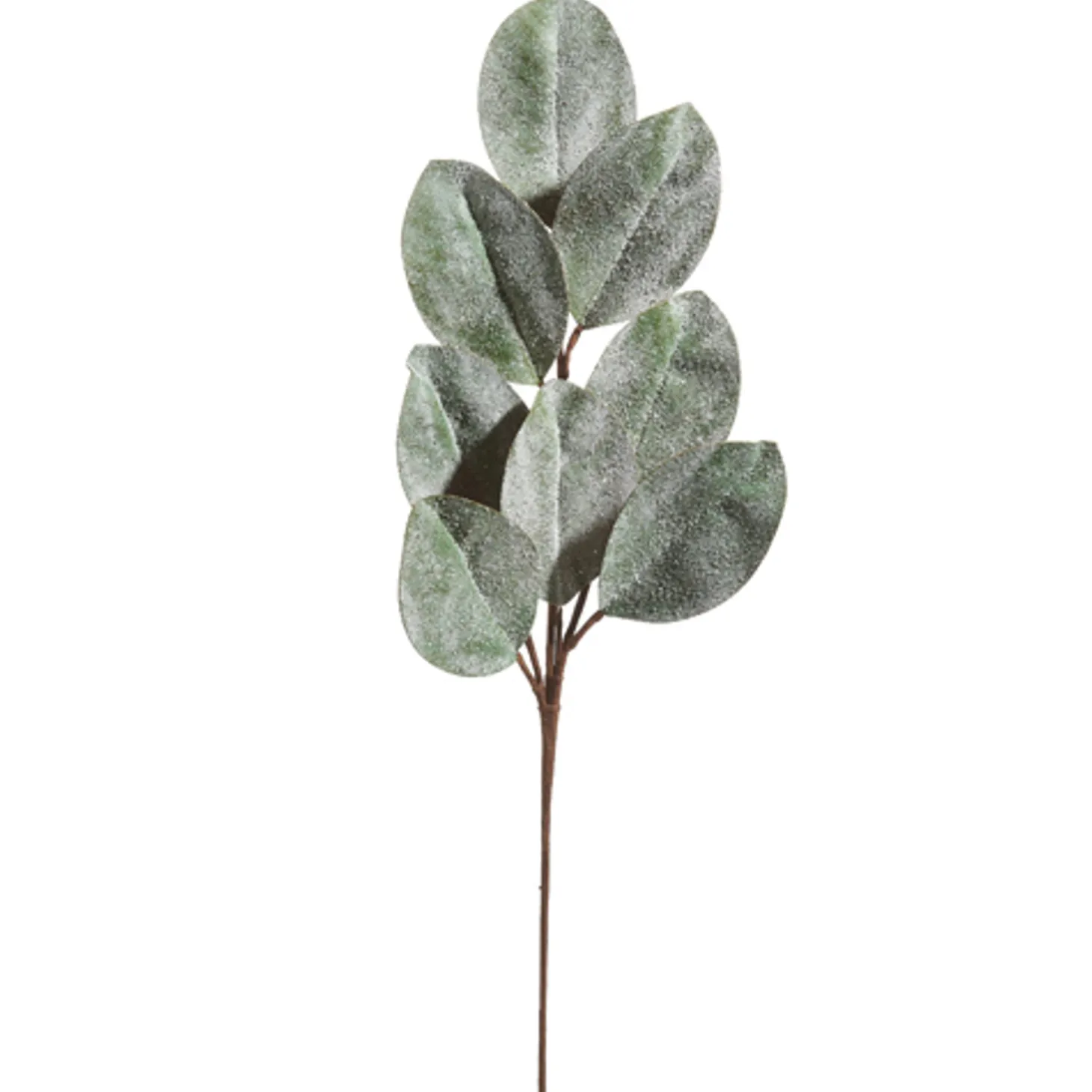 Raz 25.75" Iced Magnolia Leaf Spray Christmas Tree Spray F4406670