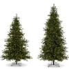 Raz 7.5' Or 9' O Tannenbaum Aspen Fir Real Feel Christmas Tree With Brilliant LED Lights