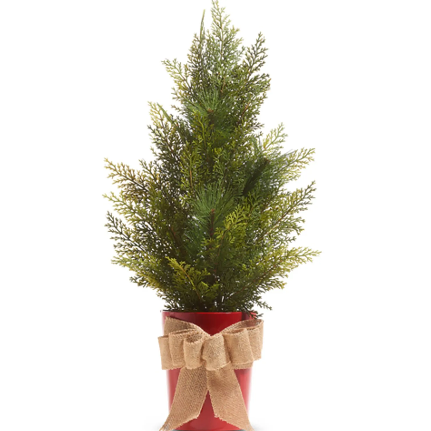 Raz 27" Or 35" Potted Half Wall Hanging Christmas Tree