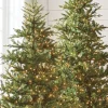 Raz 7.5' Pre-lit Green Mountain Fraser Fir Christmas Tree T4147025