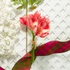 Raz 12.5" Real Feel Pink Amaryllis Bundle Christmas Tree Accessory F4302309