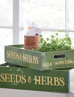 Raz 18" Seeds And Herbs Crates Set Of 2 4211218