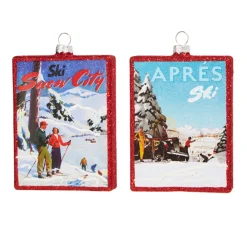 Raz 5" Set Of 2 Vintage Ski Glass Christmas Ornament 4324518