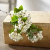 Raz 22.75" Snowy White Berry Bush Christmas Tree Pick F4212932