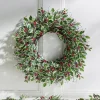 Raz 26" Variegated Holly Leaf And Berry Christmas Wreath W4402461