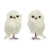 Raz 4.5" White Owl Christmas Ornament Set Of 2 4403451