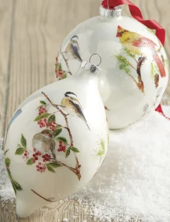 Raz 4.75" Winter Bird Glass Christmas Ornament 4024608