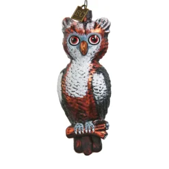 Raz Eric Cortina 4.75" Give A Hoot Glass Halloween Ornament 4453116