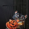 Raz Jack O Lantern Pumpkin Or Scaredy Cat Cut Out Halloween Pillow
