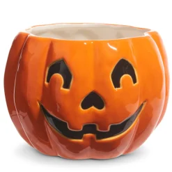 Raz Scaredy Cat Or Jack O Lantern Container Halloween Decoration