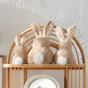 Raz Set Of 3 Sherpa Bunnies Easter Decoration 4453329