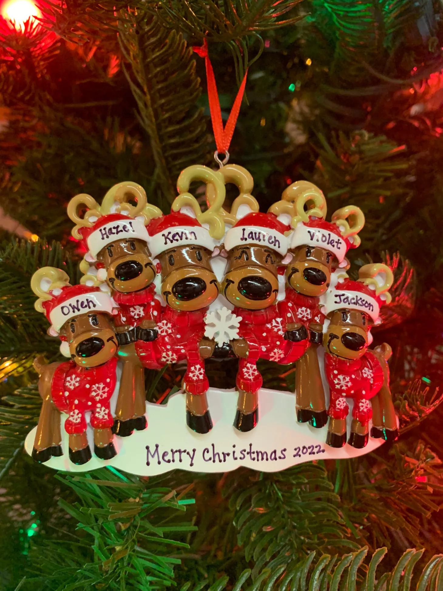 Reindeer Family Of 6 Personalized Christmas Ornament OR2256-6