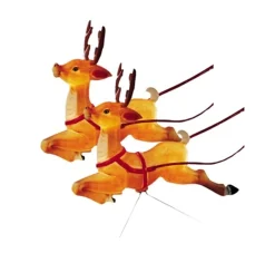 Set Of 2 Reindeer Lighted Blow Mold Decorations C6490